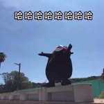 bruceerrol - @bruceerrol8515 - Instagram