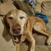 Errol Jones - Facebook
