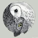 Errol Lee - @shamanicmindset - Instagram