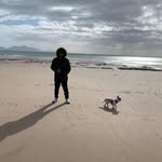 Errol Morris - @errollee2015 - Instagram