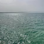 Errol Marsh - @seeking_errol - Instagram