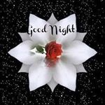 Errol Marshall - @errolcmarshall - Instagram
