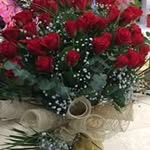 Ertan gunes - @ertangunes060 - Instagram