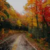 erum ali - @erum.ali24 - TikTok