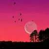 Erumalimeer - @erumali62 - TikTok