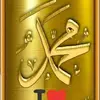 Erum Malik - @erummalik687 - TikTok
