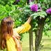 Erum Malik - Facebook