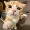 ervin - @ervin_tt - TikTok