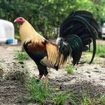 Ervin Ramos - @ervin_ramos3 - Instagram
