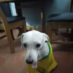 Ervin Favian Velázquez Serrano - @ervinfavian - Instagram