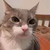 Ervin Serrano - @ervin.serrano4 - TikTok