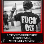 Ervin Toth - @tothervin - Instagram