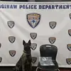 K9 Viktor - @ervinward411 - TikTok