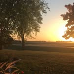 Mervin Yoder - @mervinyoder76 - Instagram