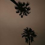 @erwanmenardu - Instagram