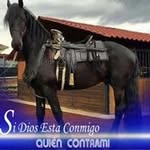 Erwin Acevedo - @erwin.acevedo.790 - Instagram