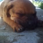 Erwin Acevedo - Facebook