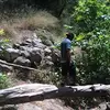 Erwin Acevedo - @erwinpwns - TikTok
