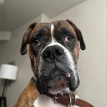 Erwin Acevedo - @erwin_acevedo - Instagram