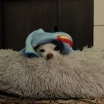 Erwin Ackerman - @the.playground94 - Instagram