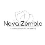 Erwin Adams - @kwekerijnovazembla - Instagram