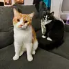 Albert and Erwin - @albert.and.erwin - TikTok