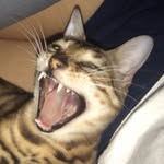 Erwin & Albert - @erwin_e_albert - Instagram