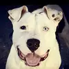 Erwin - @erwin.albert - TikTok