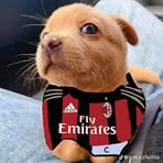 Erwin Alexander Queche - Facebook