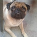 Erwin Alvarez - @erwin.alvarez.79230 - Instagram