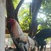 Erwin Alvarez - Facebook