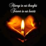 Erwin Amar - @erwinamar7 - Instagram