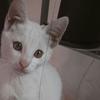 Erwin Amaru - @erwin.amaru - TikTok