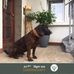 Erwin Arnold - Facebook