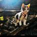Erwin Avila - Facebook