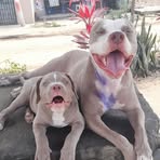 Erwin Aviles - Facebook