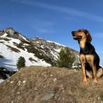 Erwin Bauer - Facebook