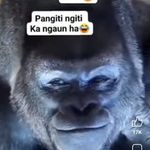 Erwin Ballesteros - @ball.e6141 - Instagram