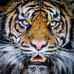 Erwin Barrera - @erwinbarrera007 - Instagram
