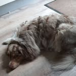 Erwin Baumgardt - @baumgardterwin - Instagram