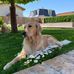 Erwin Baumgartner - Facebook