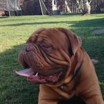 Erwin Beckers - @erwin.beckers - Instagram
