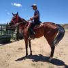 chow - @derwinbegay4 - TikTok