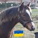 Erwin Beerens - Facebook