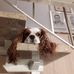 Erwin Behrens - Facebook