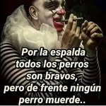Erwin Bernal - @erwinbernal8 - Instagram