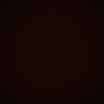 Erwin Blumenfeld - @blumenfelderwin - Instagram
