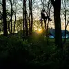 Erwin Bouwman - @erwinbouwman - TikTok