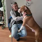 Erwin Braun - @erwinbraun916 - Instagram