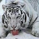 Erwin Cardenas - @cardenas_erwin - Instagram